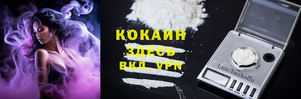 эйфоретик Магас