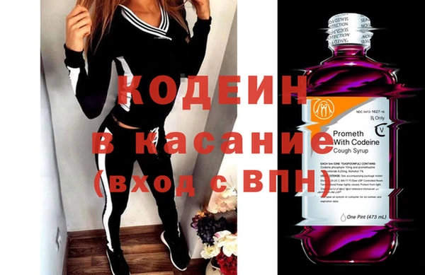 шишки Анива
