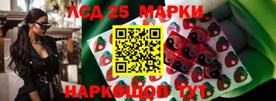 сатива Можайск