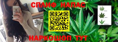 сатива Можайск