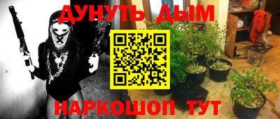 гидропоника Можга