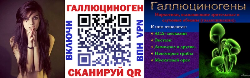 Псилоцибиновые грибы Cubensis  Минусинск 