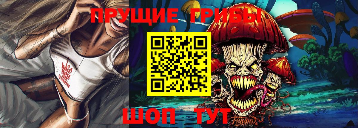 Минусинск  Галлюциногенные грибы прущие грибы  Вход с VPN 