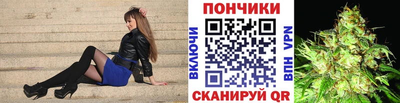 как найти   Минусинск  Шишки марихуана план 